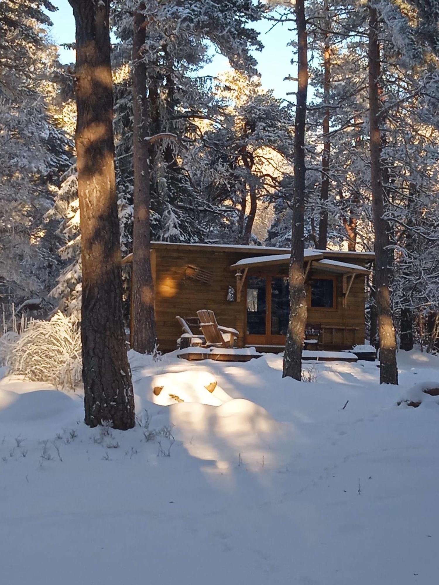 Chalet Hibou 1 Couchage En 140 Domaine De La Mamounette Champclause Exteriér fotografie